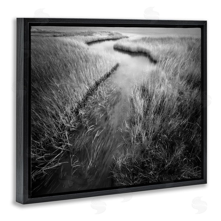 Chip Forelli | Meandering Estuary View