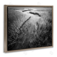 Chip Forelli | Meandering Estuary View
