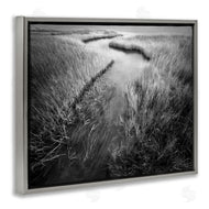 Chip Forelli | Meandering Estuary View