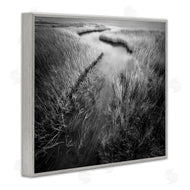 Chip Forelli | Meandering Estuary View