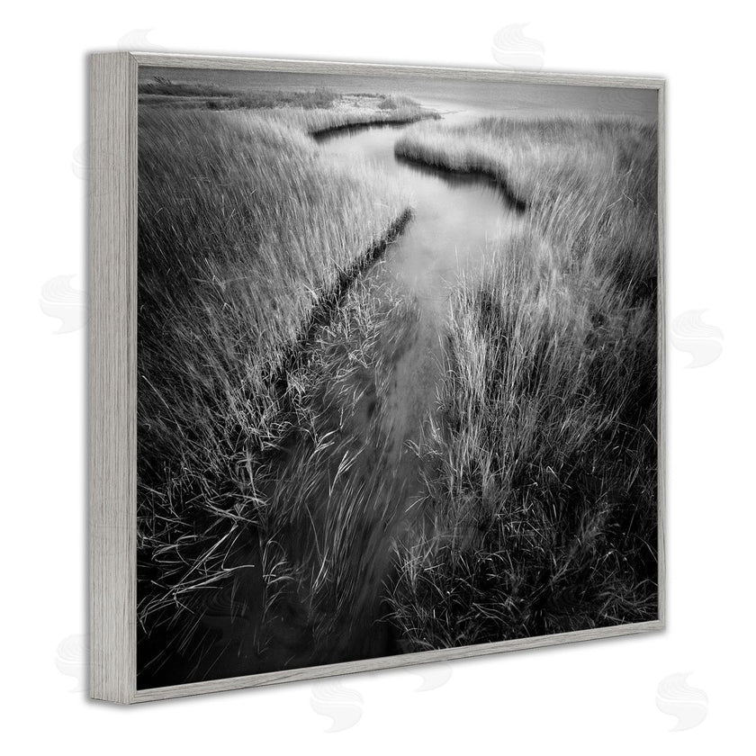 Chip Forelli | Meandering Estuary View