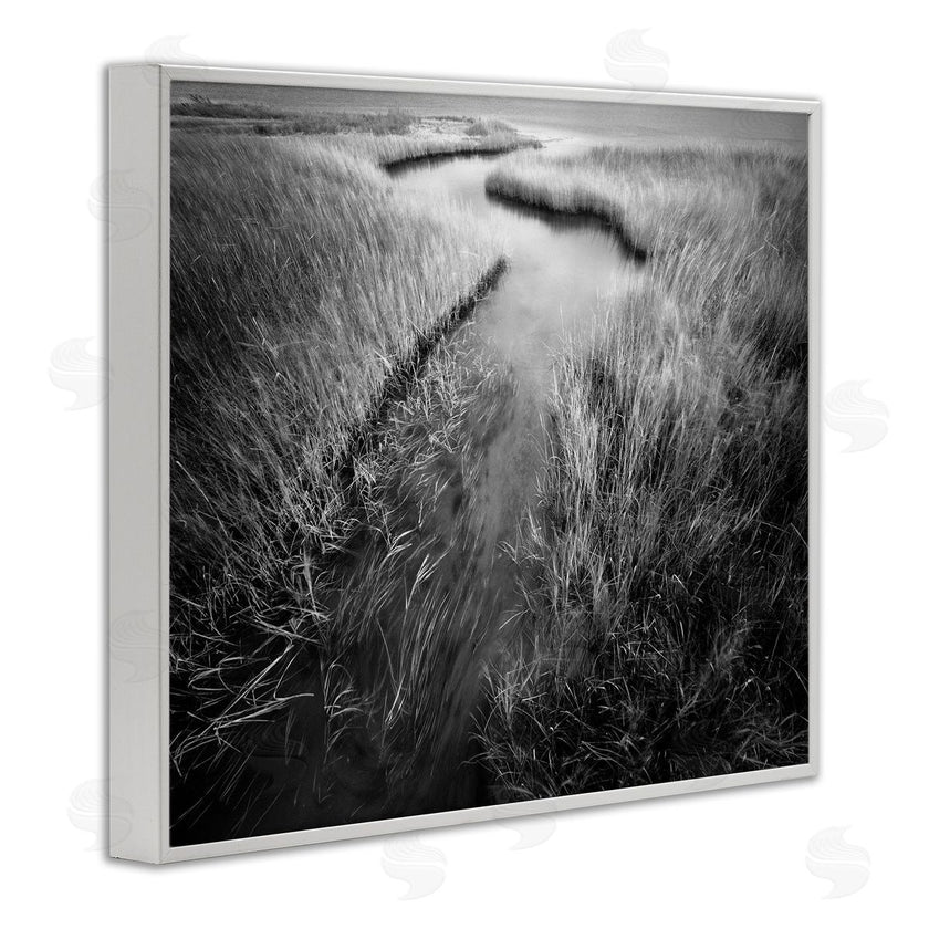 Chip Forelli | Meandering Estuary View