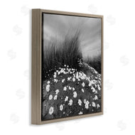 Chip Forelli | Sand Daisies on Hill