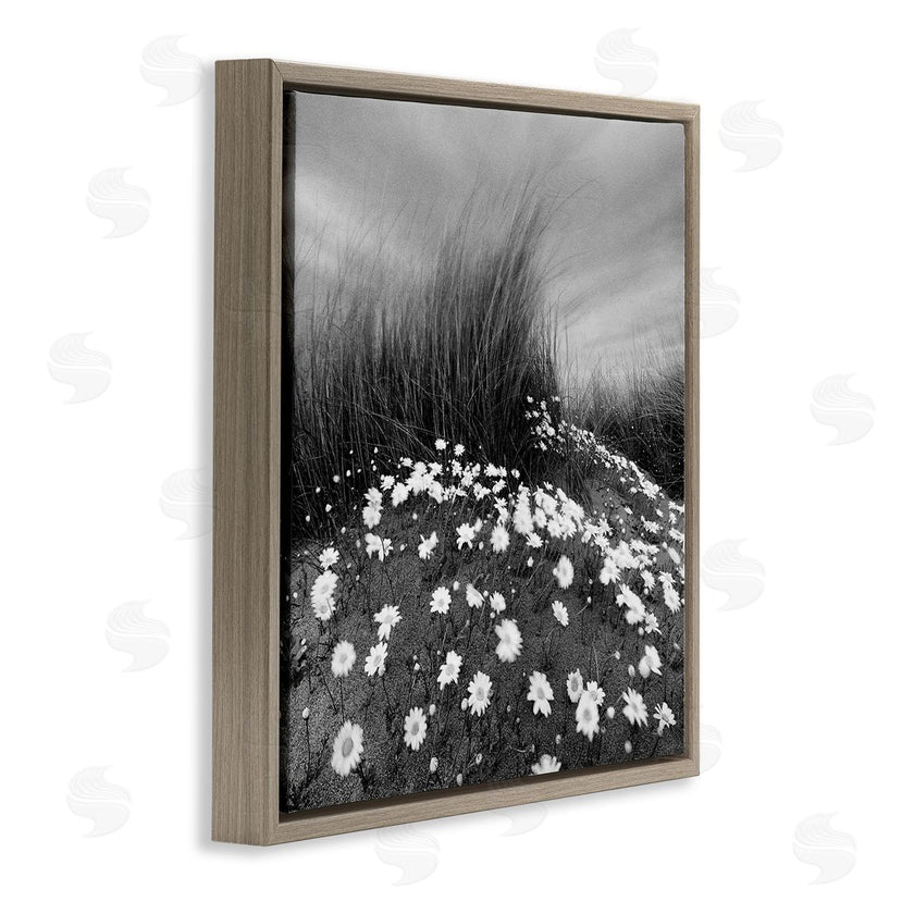 Chip Forelli | Sand Daisies on Hill