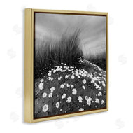 Chip Forelli | Sand Daisies on Hill