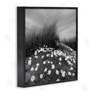 Chip Forelli | Sand Daisies on Hill