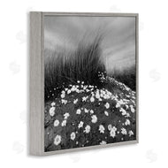 Chip Forelli | Sand Daisies on Hill