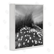 Chip Forelli | Sand Daisies on Hill