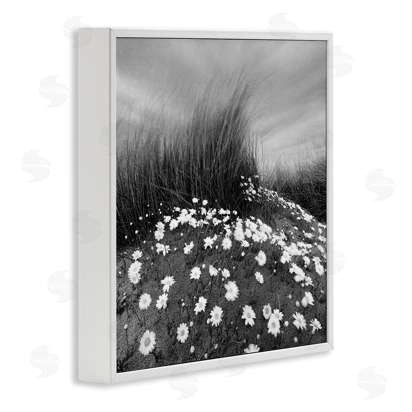 Chip Forelli | Sand Daisies on Hill