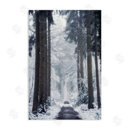Martin Podt | Winter Fir Path
