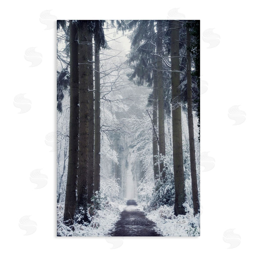 Martin Podt | Winter Fir Path