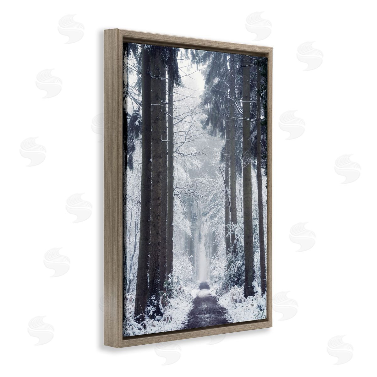 Winter Fir Path Brown Floating Frame Canvas Wall Art, Home Decor by Martin Podt