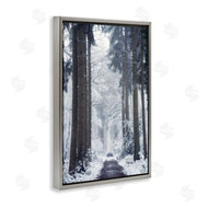 Martin Podt | Winter Fir Path