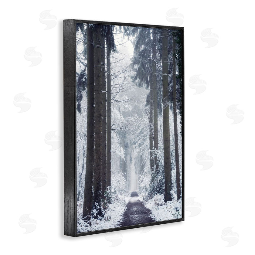 Martin Podt | Winter Fir Path