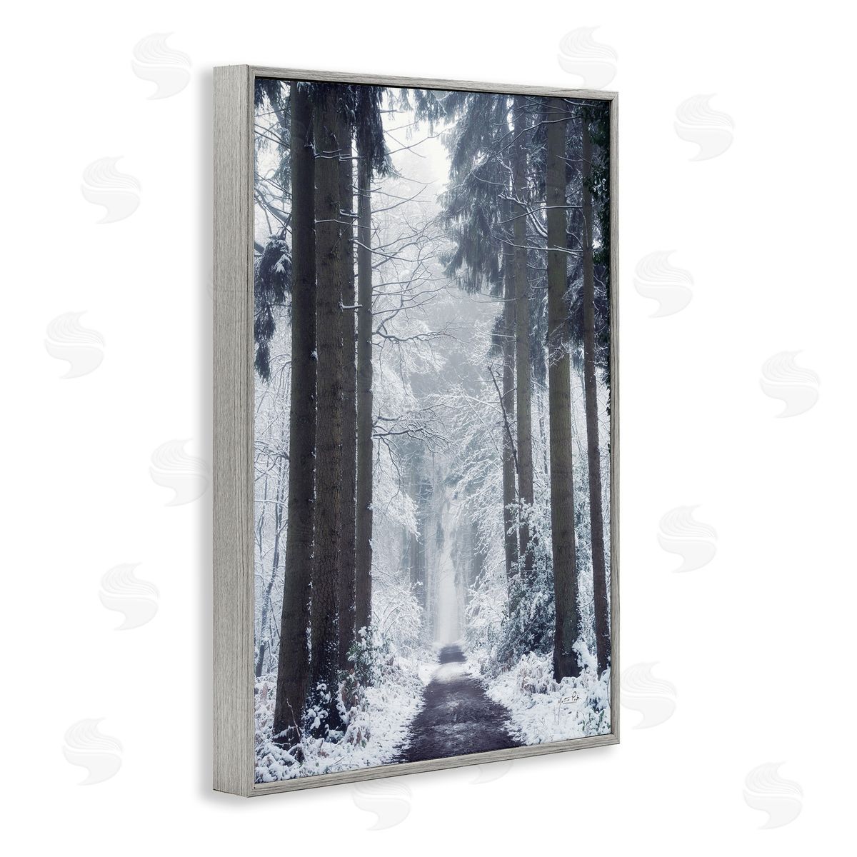 Winter Fir Path Grey Frame Print Wall Art, Home Decor by Martin Podt