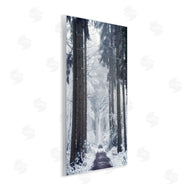 Martin Podt | Winter Fir Path