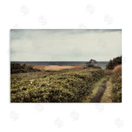 Andy Amos | Serene Coastal Pathway