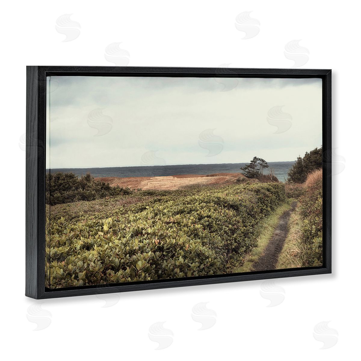 Serene Coastal Pathway Black Floating Frame Canvas Wall Art, Home Decor by Andy Amos