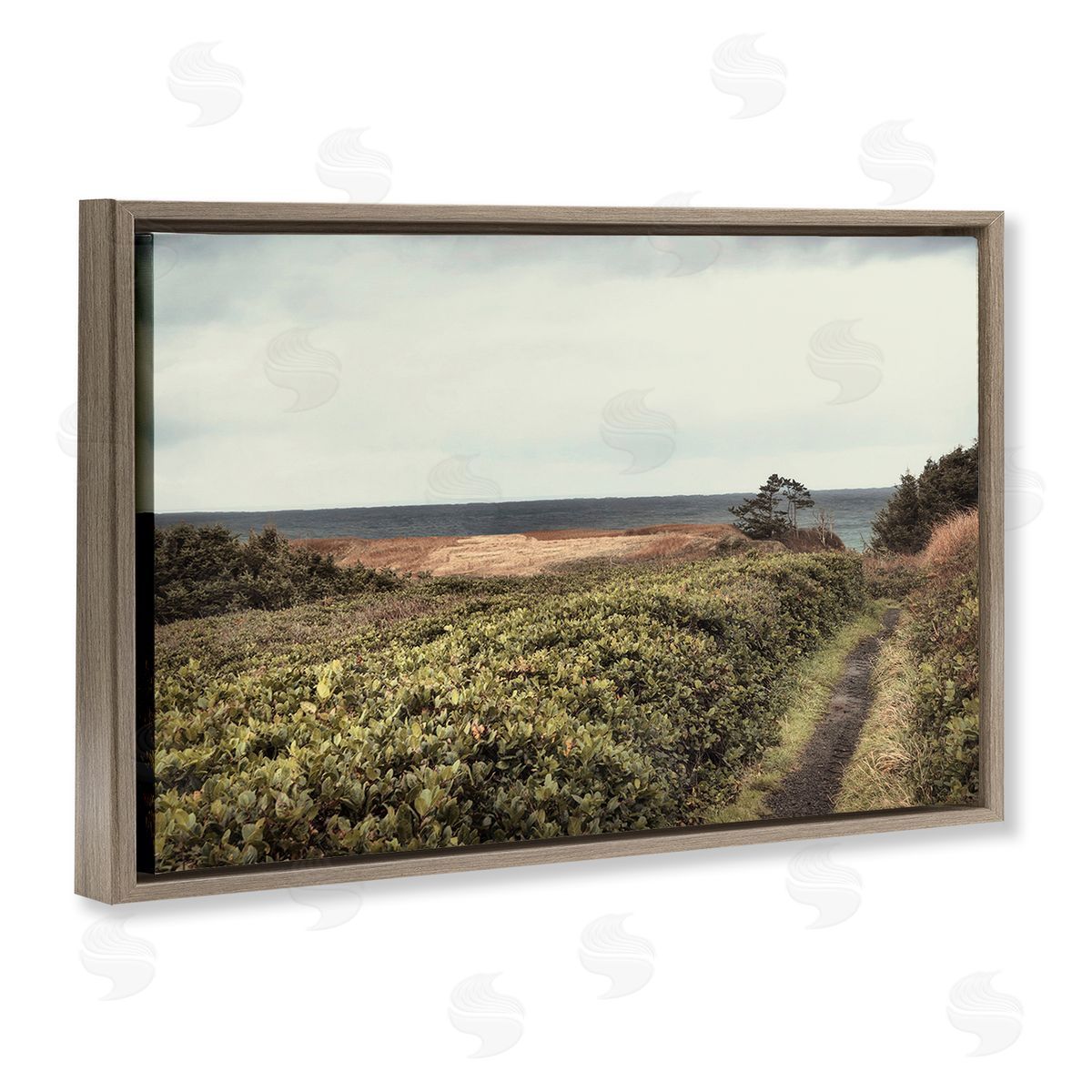 Serene Coastal Pathway Brown Floating Frame Canvas Wall Art, Home Decor by Andy Amos
