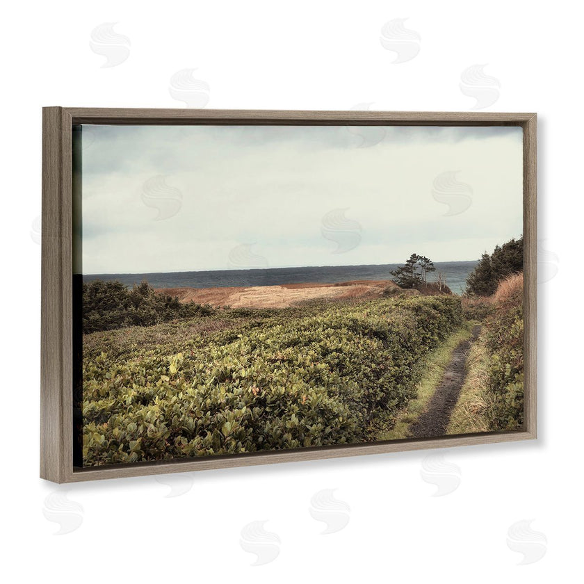 Andy Amos | Serene Coastal Pathway