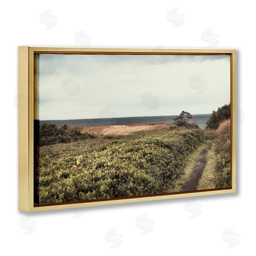 Andy Amos | Serene Coastal Pathway