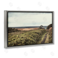 Andy Amos | Serene Coastal Pathway