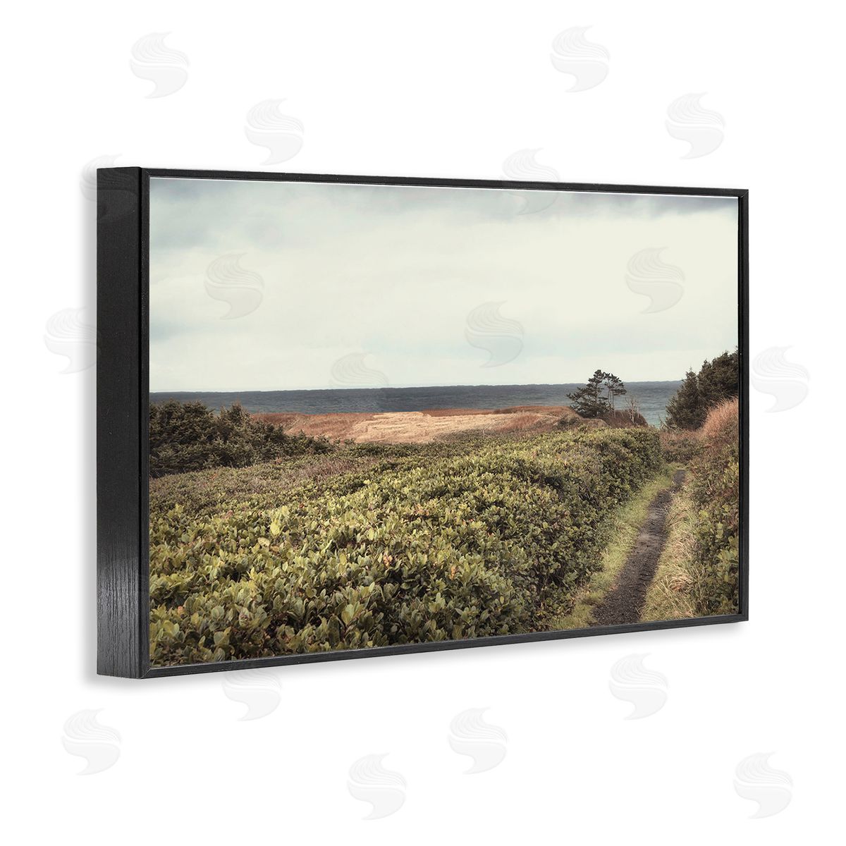 Serene Coastal Pathway Black Frame Print Wall Art, Home Decor by Andy Amos