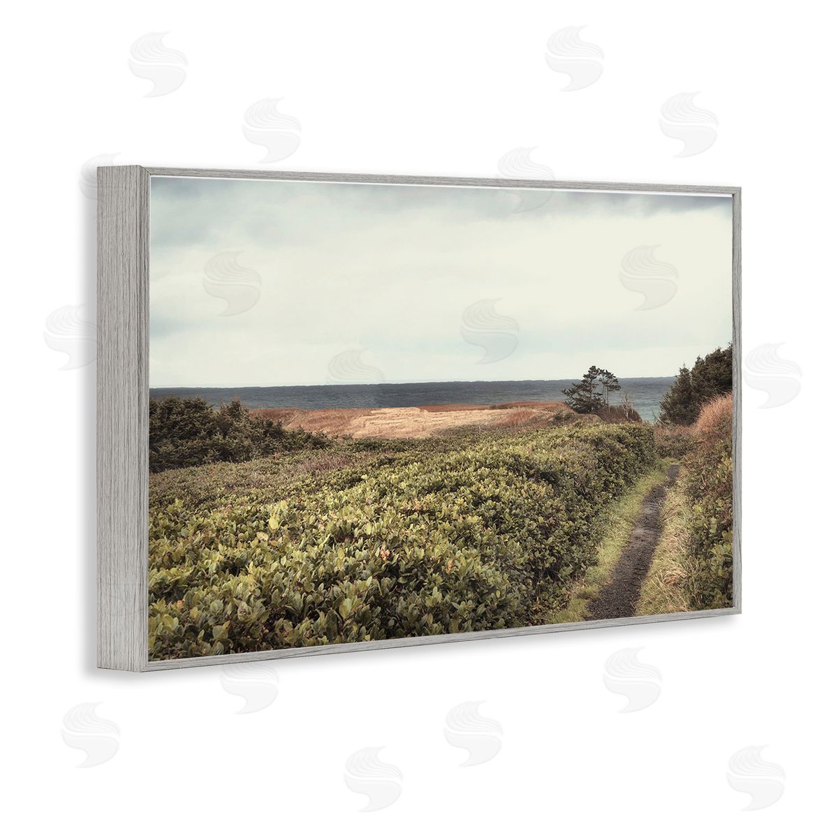 Serene Coastal Pathway Grey Frame Print Wall Art, Home Decor by Andy Amos
