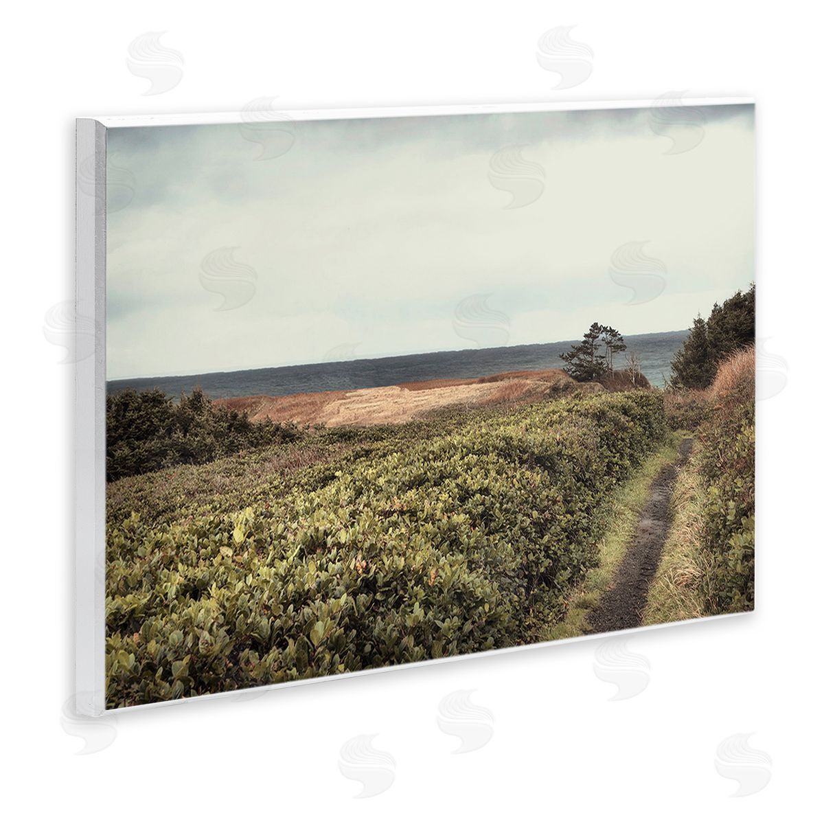 Serene Coastal Pathway Wood Plaque Wall Art, Home Decor by Andy Amos