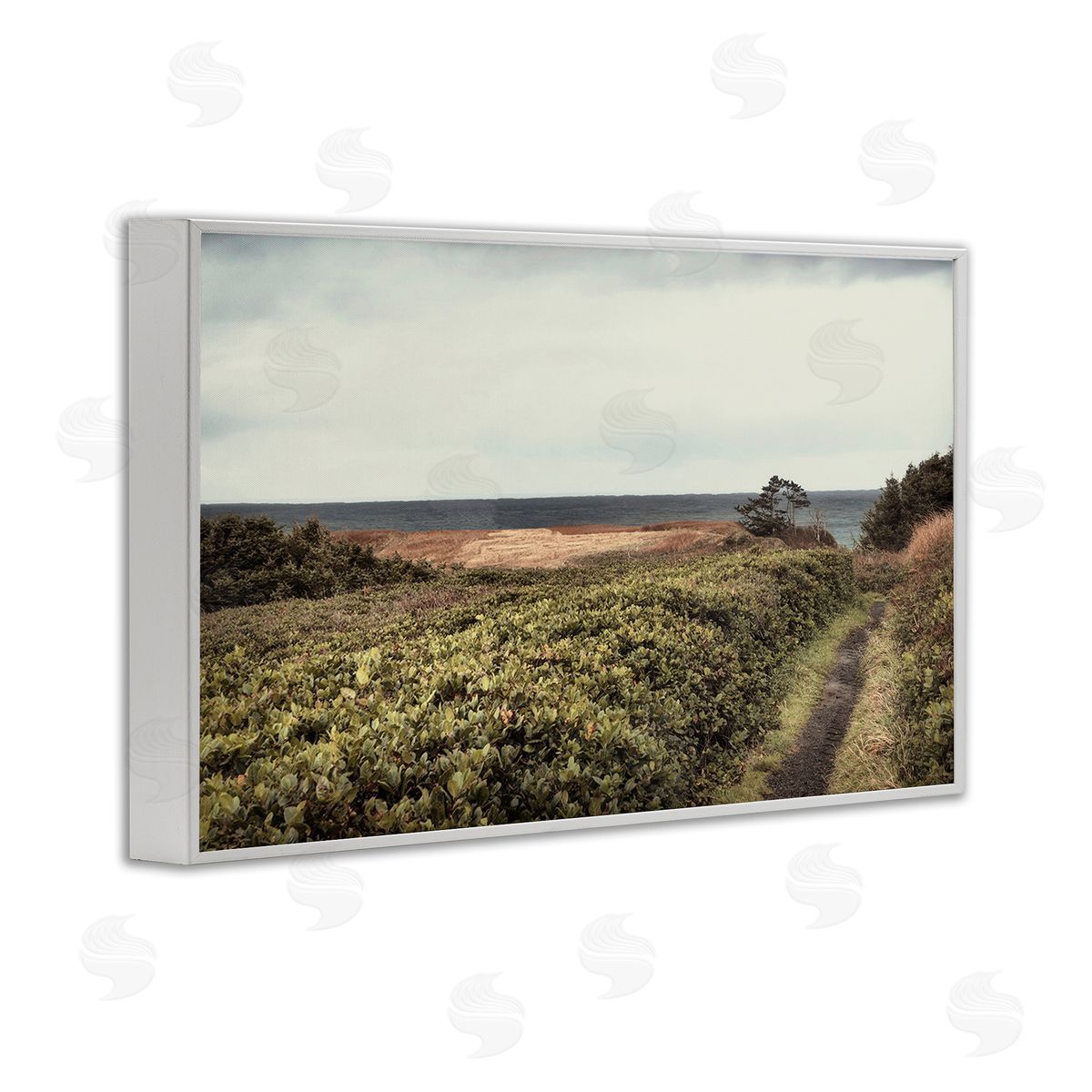 Serene Coastal Pathway White Frame Print Wall Art, Home Decor by Andy Amos
