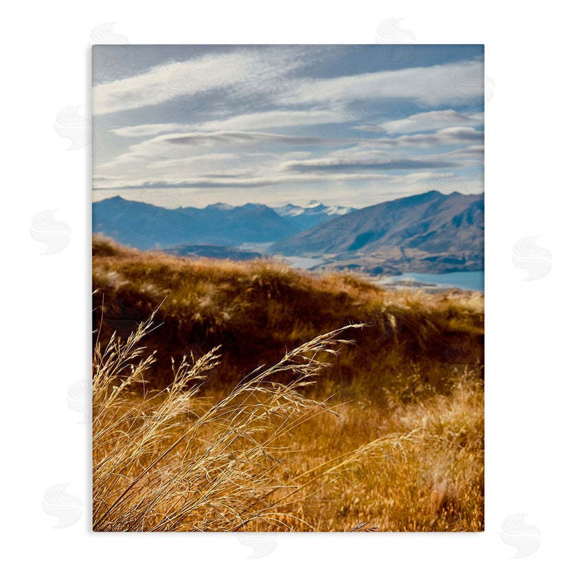 Kali Wilson | Windblown Mountain Region