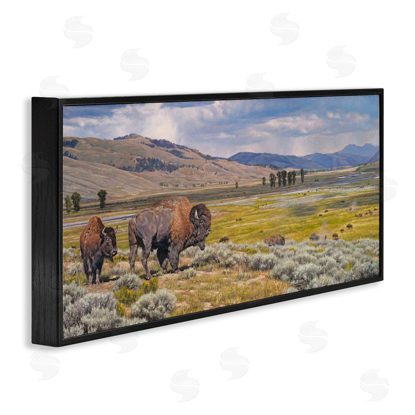 David Graham | Roaming Southwestern Bison