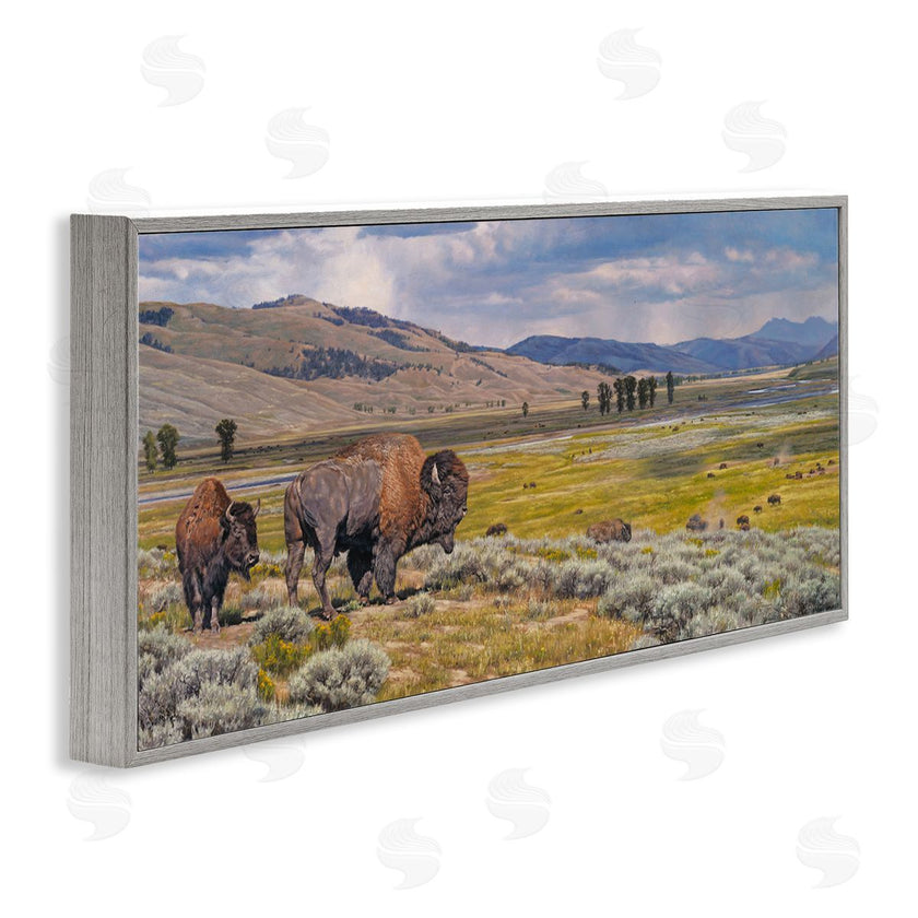 David Graham | Roaming Southwestern Bison