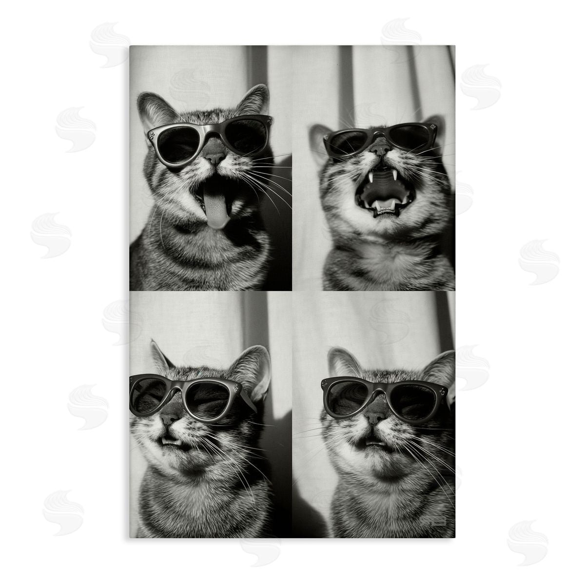 Photobooth Style Cat Canvas Wall Art, Home Decor by Roozbeh Bahramali