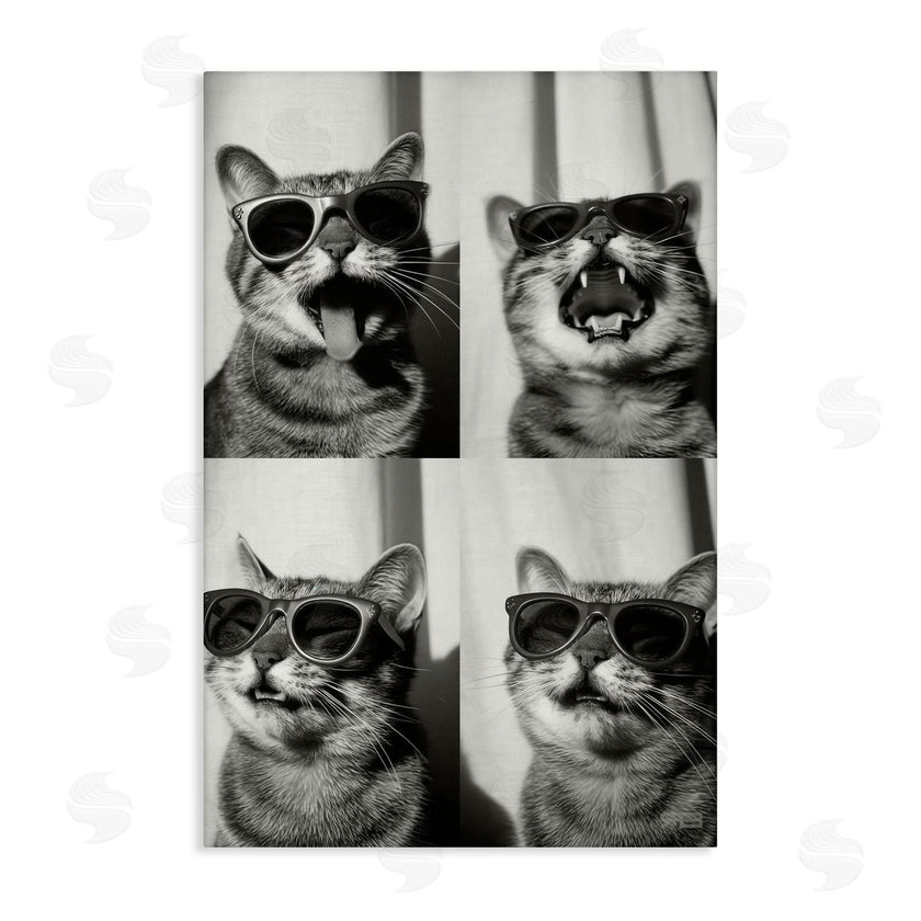 Roozbeh Bahramali | Photobooth Style Cat