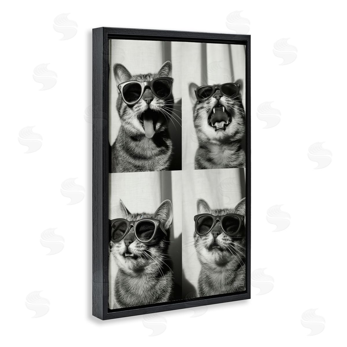 Photobooth Style Cat Black Floating Frame Canvas Wall Art, Home Decor by Roozbeh Bahramali