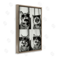 Roozbeh Bahramali | Photobooth Style Cat