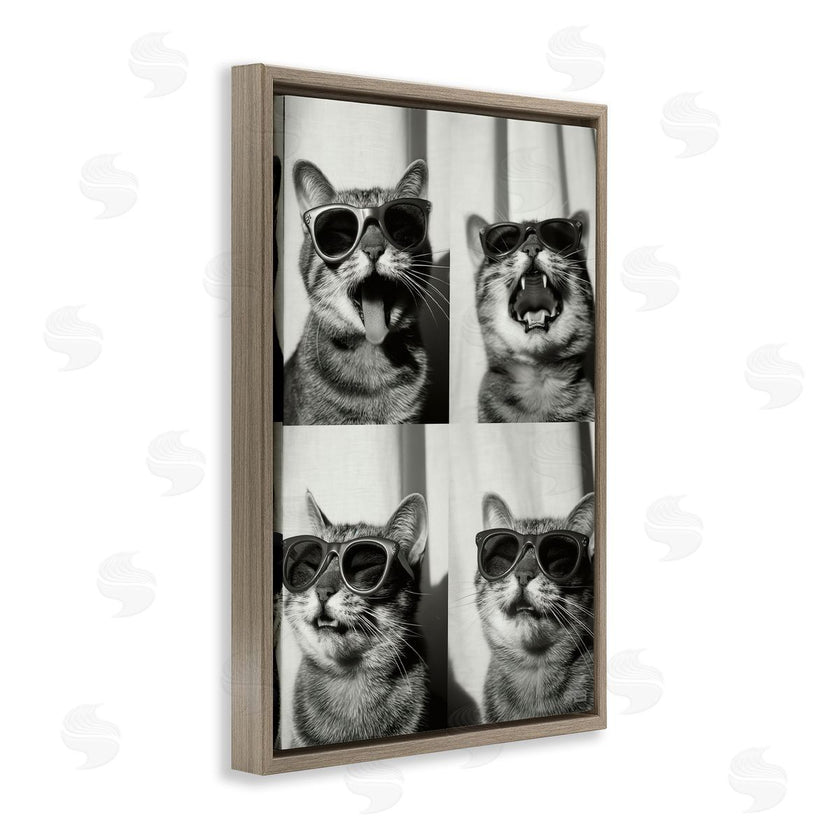 Roozbeh Bahramali | Photobooth Style Cat