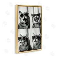 Roozbeh Bahramali | Photobooth Style Cat