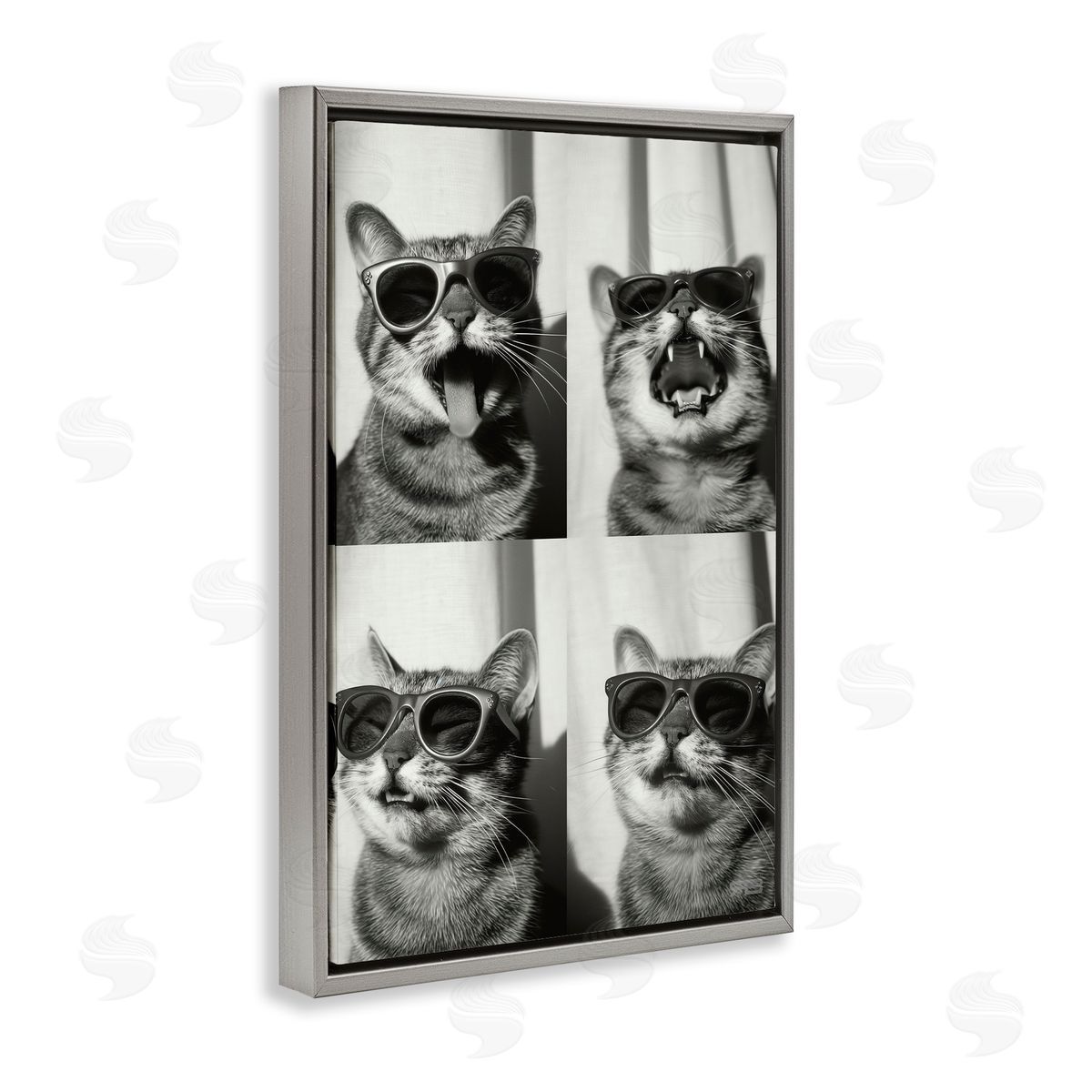 Photobooth Style Cat Grey Floating Frame Canvas Wall Art, Home Decor by Roozbeh Bahramali