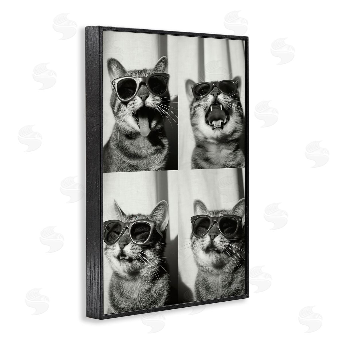 Photobooth Style Cat Black Frame Print Wall Art, Home Decor by Roozbeh Bahramali