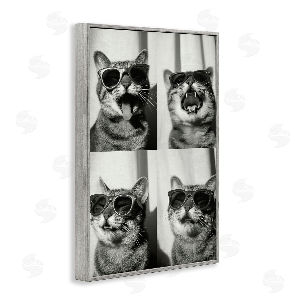 Photobooth Style Cat Grey Frame Print Wall Art, Home Decor by Roozbeh Bahramali