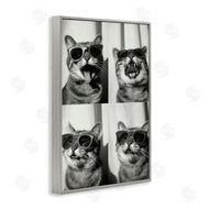 Roozbeh Bahramali | Photobooth Style Cat
