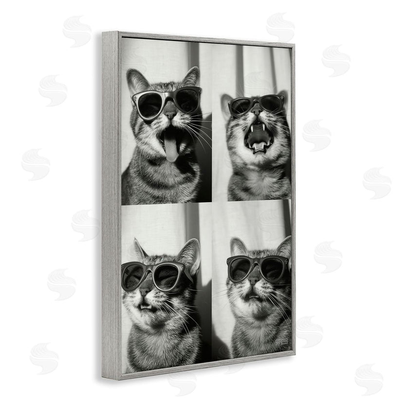 Roozbeh Bahramali | Photobooth Style Cat