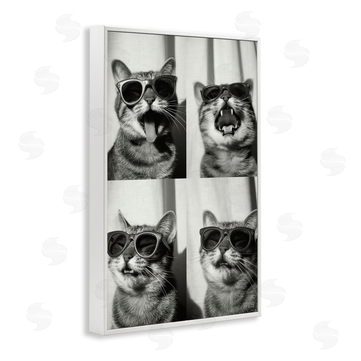 Photobooth Style Cat White Frame Print Wall Art, Home Decor by Roozbeh Bahramali