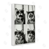 Roozbeh Bahramali | Photobooth Style Cat