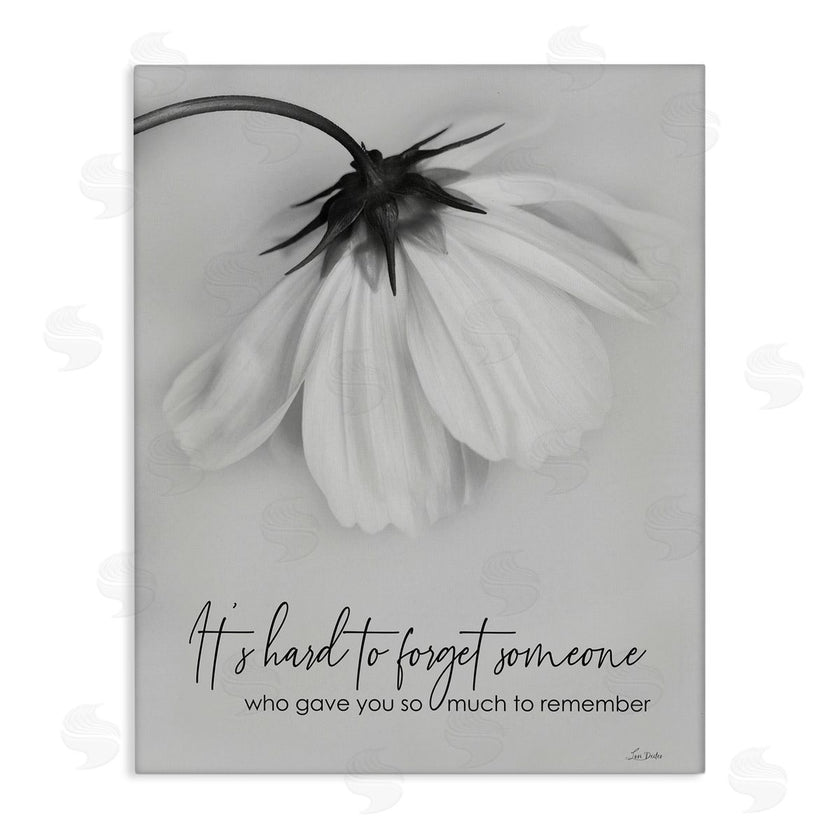 Lori Deiter | So Much To Remember