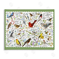 Jane Maday | Various Bird Species