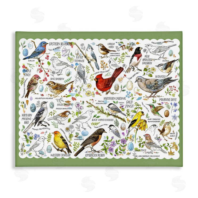 Jane Maday | Various Bird Species