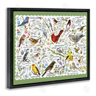 Jane Maday | Various Bird Species